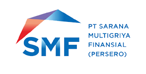 Pt-SMF
